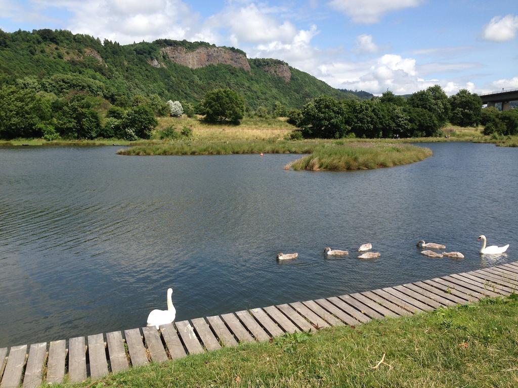 Clover Holidays - Cliff View Перт Номер фото